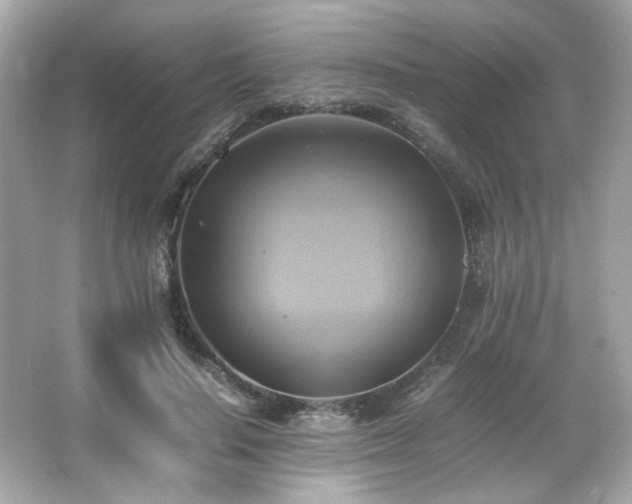 X0000066520644200603171219