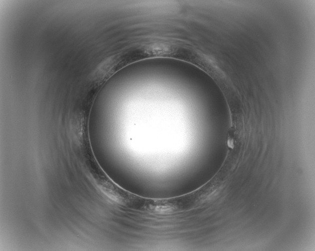 X0000066520645200603171219