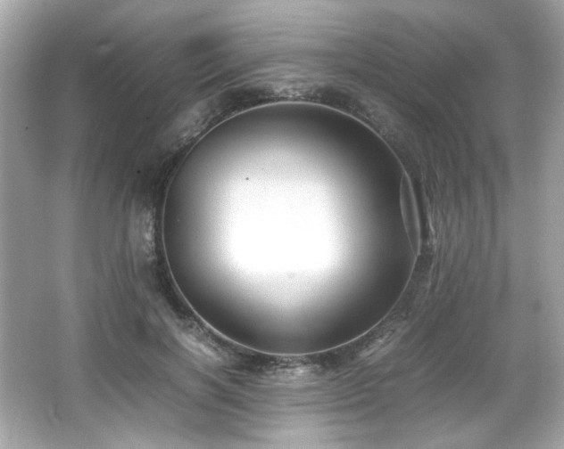 X0000066520646200603171219