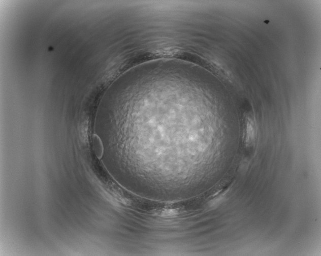 X0000066520647200603171219