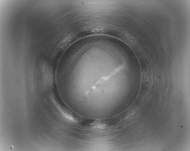 X0000066520648200603171219