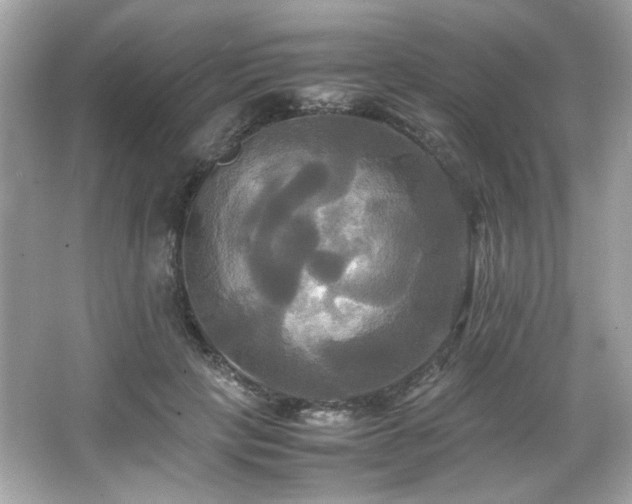 X0000066520649200603171219