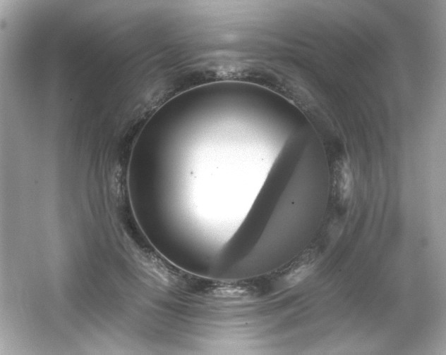 X0000066520650200603171219