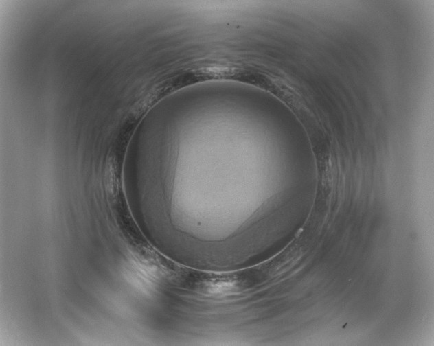 X0000066520651200603171219