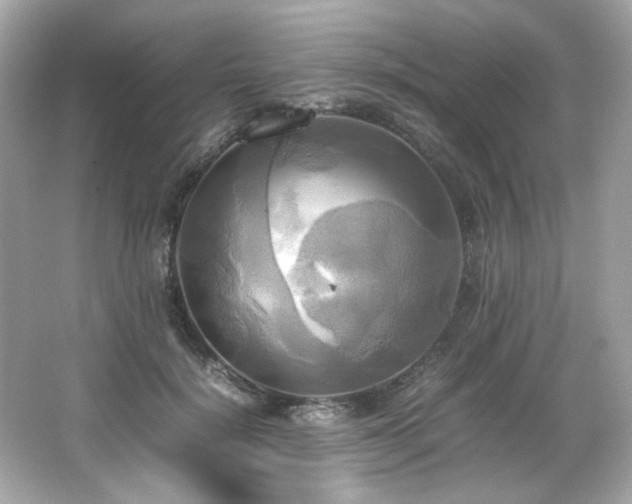 X0000066520652200603171219