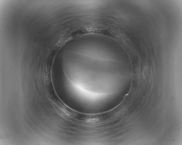 X0000066520653200603171219