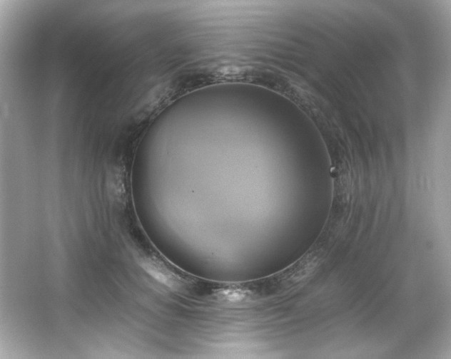 X0000066520654200603171219