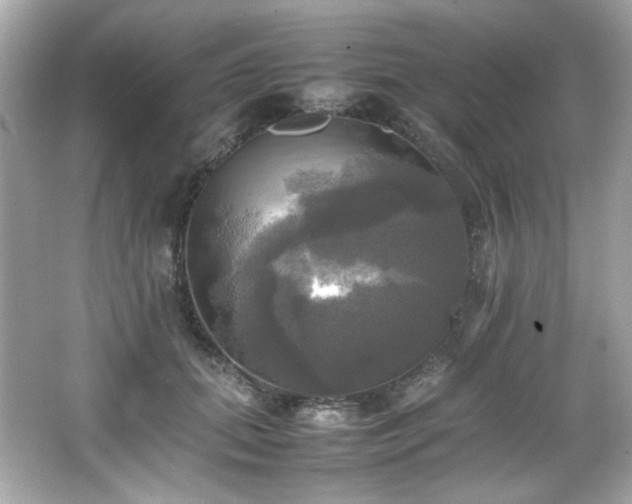 X0000066520655200603171219