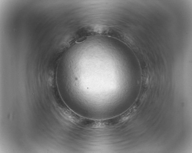 X0000066520656200603171219