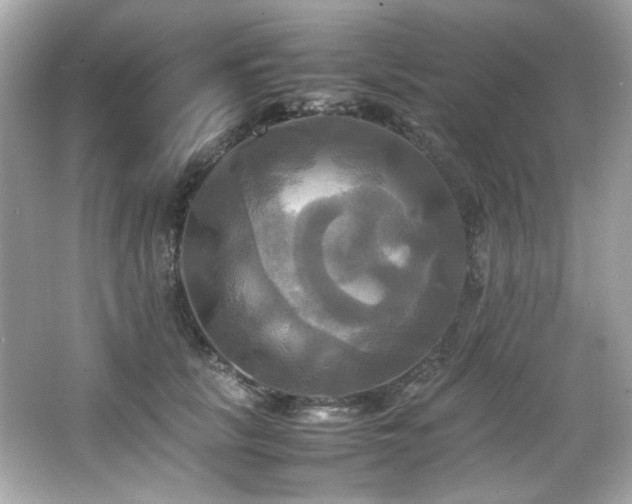 X0000066520657200603171219