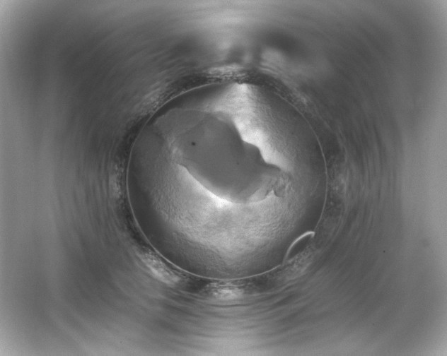 X0000066520658200603171219