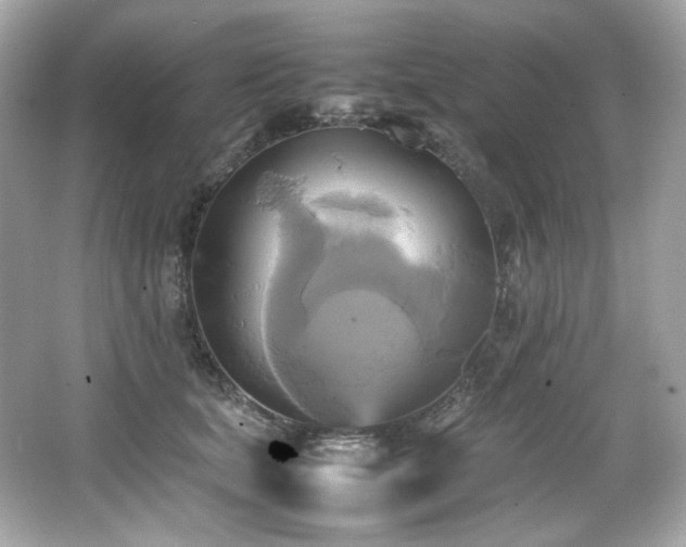 X0000066520659200603171219