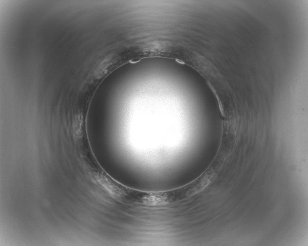 X0000066520660200603171219