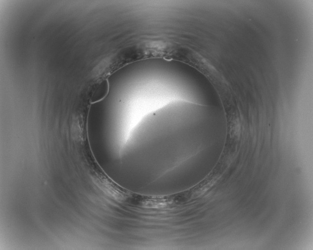 X0000066520661200603171219