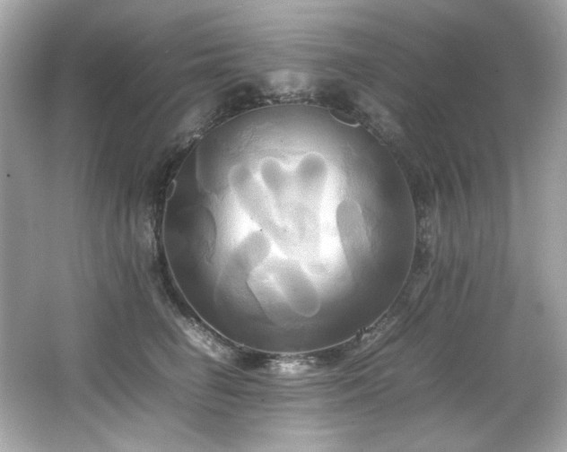 X0000066520662200603171219