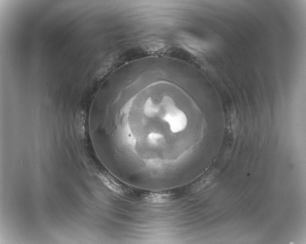 X0000066520664200603171219