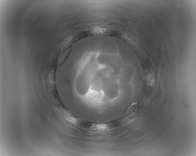 X0000066520665200603171219