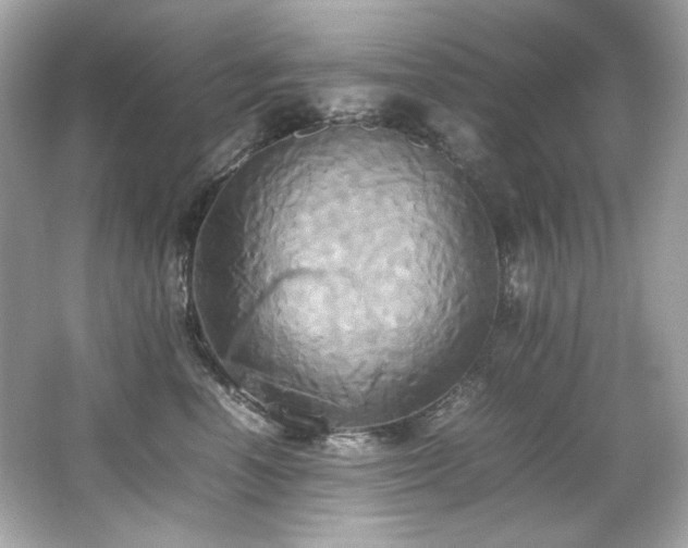 X0000066520666200603171219