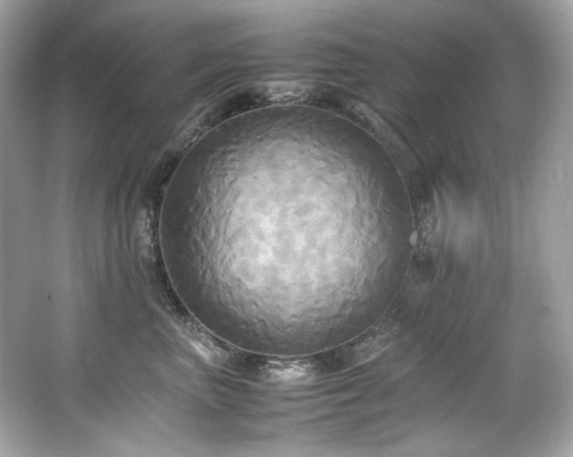 X0000066520667200603171220