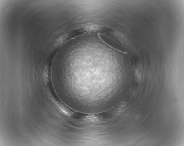 X0000066520668200603171220