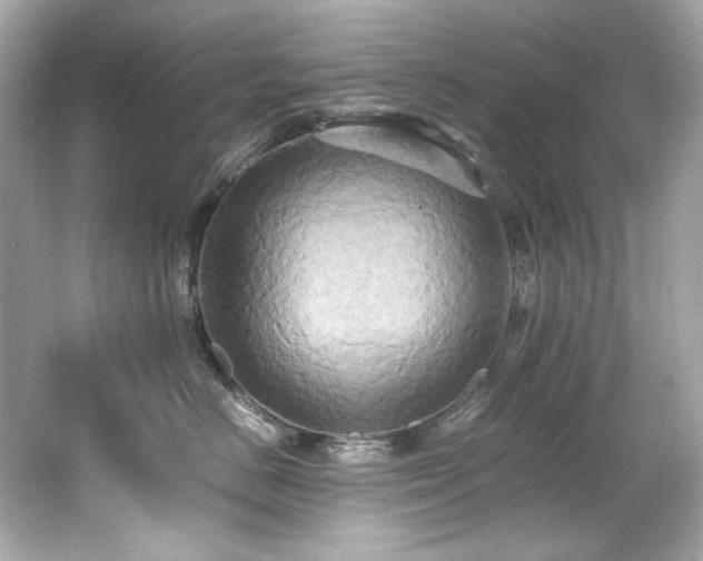 X0000066520670200603171220