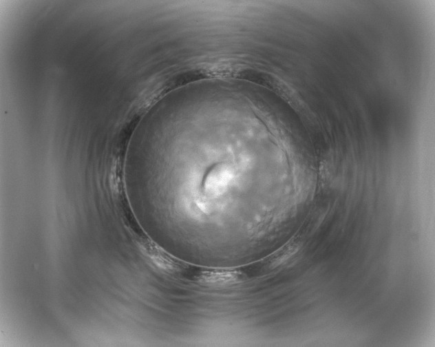 X0000066520671200603171220