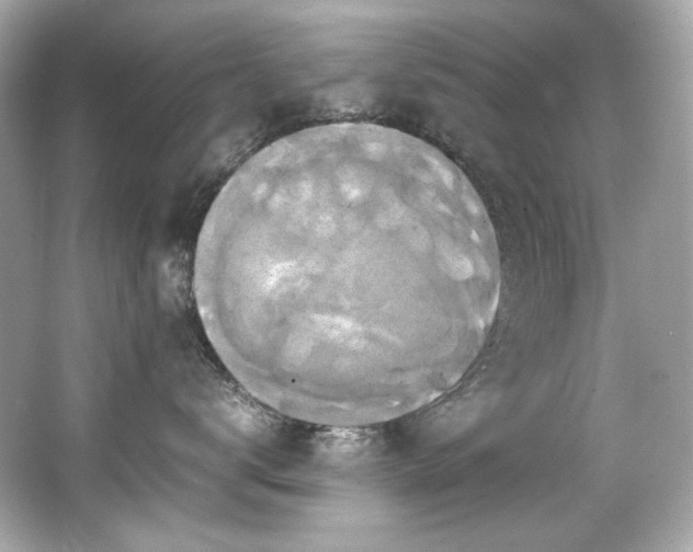 X0000066520672200603171220