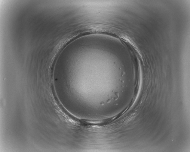 X0000066520673200603171219