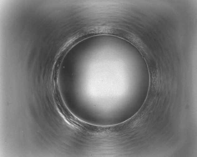 X0000066520674200603171219