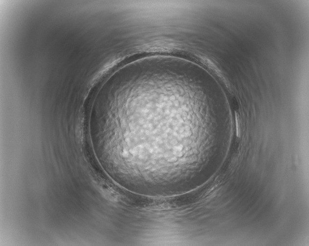 X0000066520675200603171219