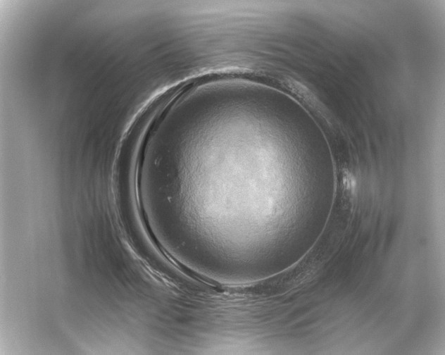 X0000066520676200603171219