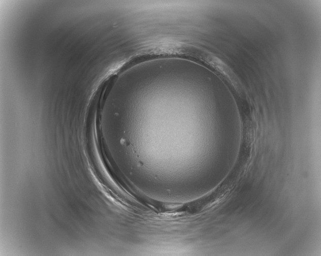 X0000066520677200603171219