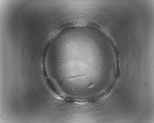 X0000066520681200603171219