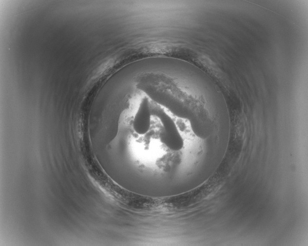 X0000066520683200603171219