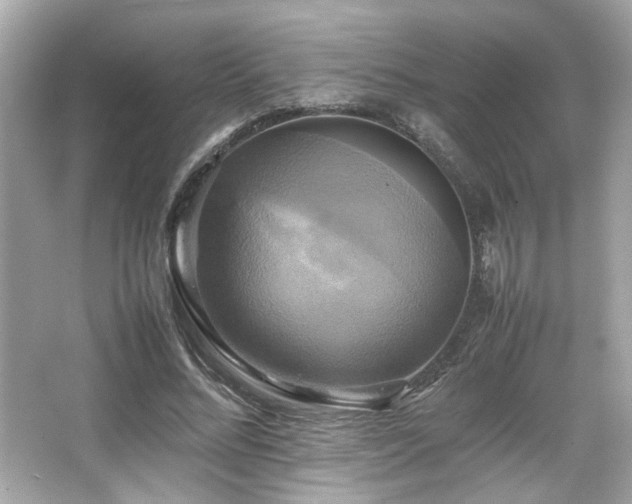 X0000066520684200603171219