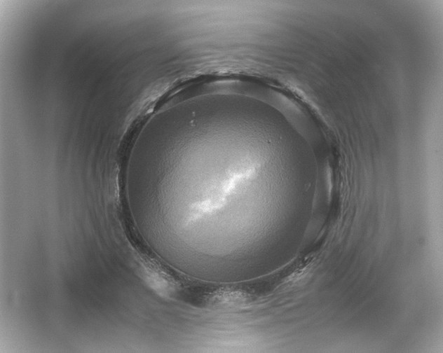 X0000066520685200603171219