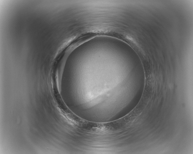 X0000066520688200603171219