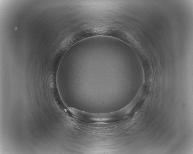 X0000066520689200603171219