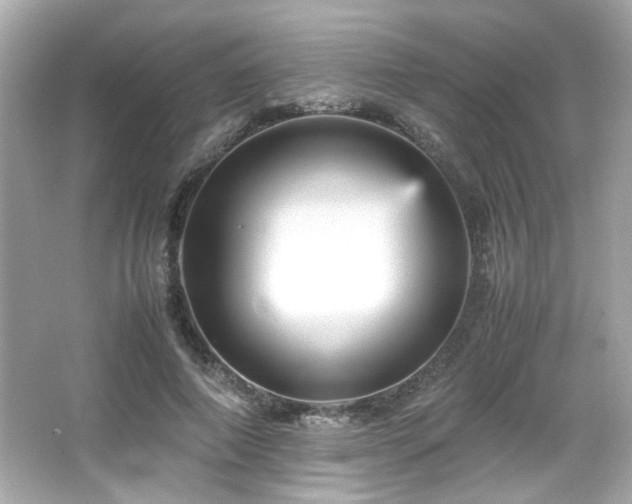 X0000066520690200603171219