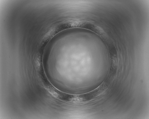 X0000066520691200603171218