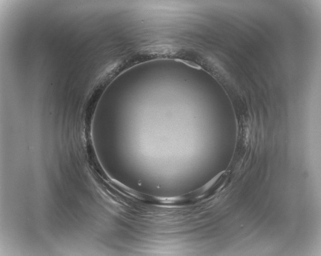 X0000066520692200603171218