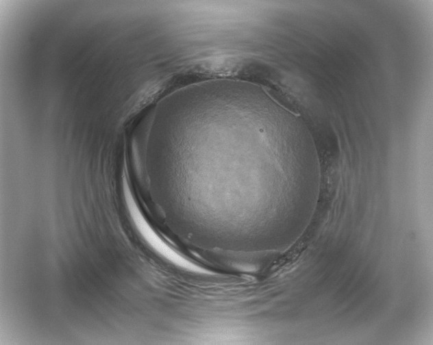 X0000066520693200603171218