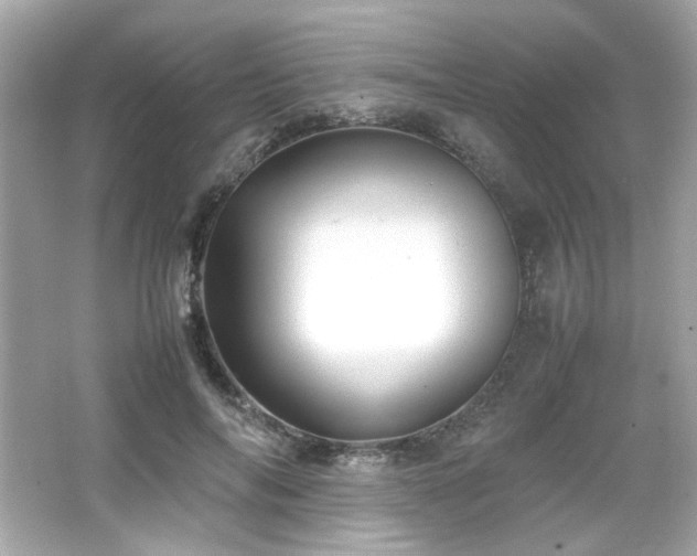 X0000066520694200603171218