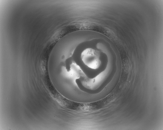 X0000066520695200603171218