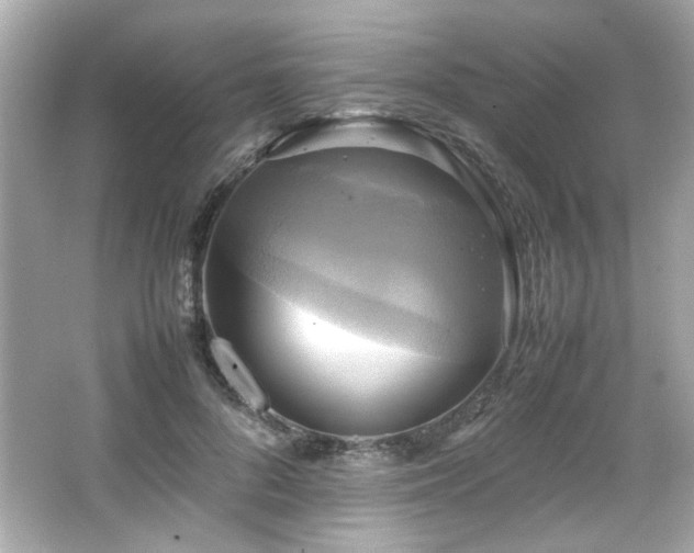 X0000066520696200603171218