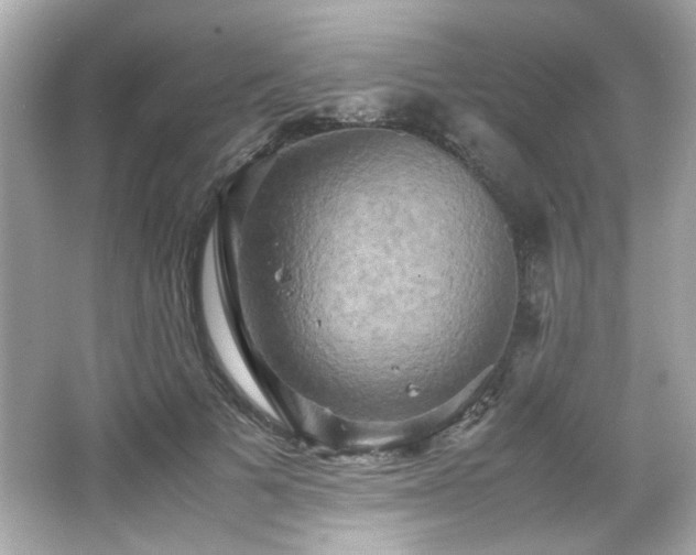 X0000066520697200603171218