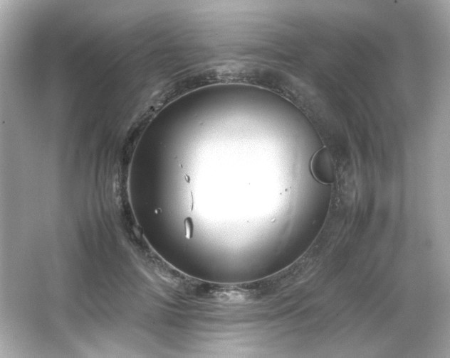 X0000066520698200603171218