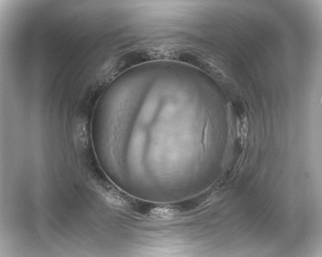 X0000066520699200603171218