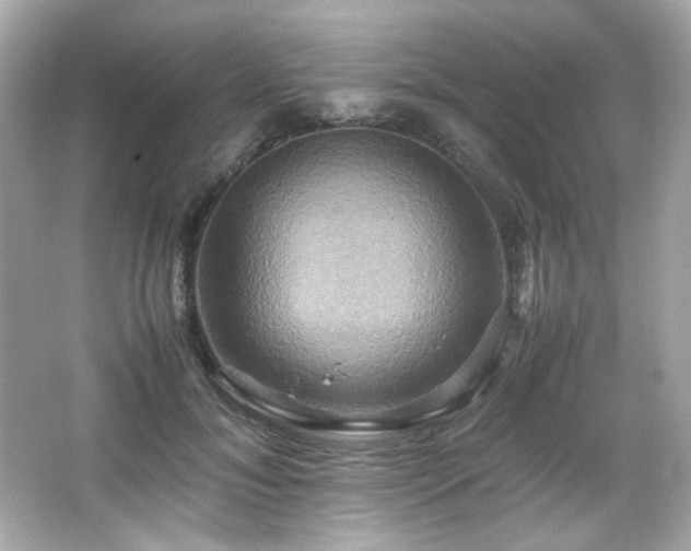 X0000066520700200603171218