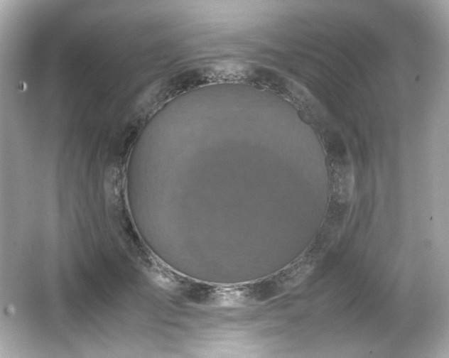 X0000066520701200603171218